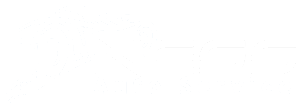 Ness Auto Service logo